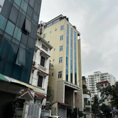 Phố Hoàng Cầu – siêu hiếm – KD đỉnh cao – 7 tầng thang máy nhỉnh 38 tỷ Phố Hoàng Cầu – siêu hiếm – KD đỉnh cao – 7 tầng thang máy nhỉnh 38 tỷ