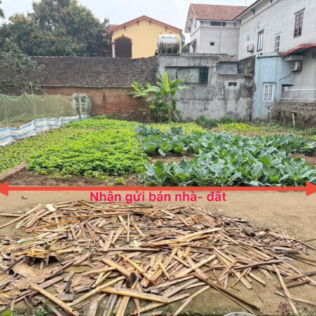 Bán đất thổ cư tiềm năng tại Thôn 1, Thạch Đà, Mê Linh, Hà Nội – Vị trí vàng, giá đầu tư hấp dẫn!