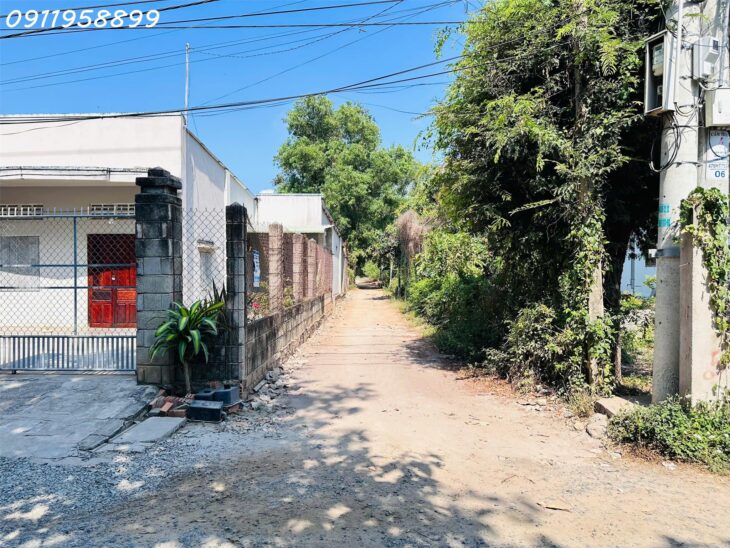 Đất Tân Phước, Lagi: 171m² Thổ Cư, Ô Tô Tận Nơi, Giá 890 Triệu