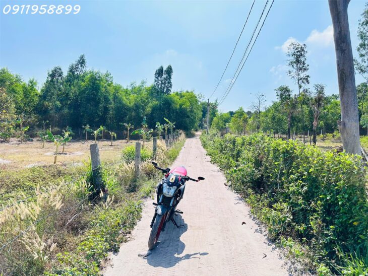 Đất Tân Phước, Lagi: 171m² Thổ Cư, Ô Tô Tận Nơi, Giá 890 Triệu