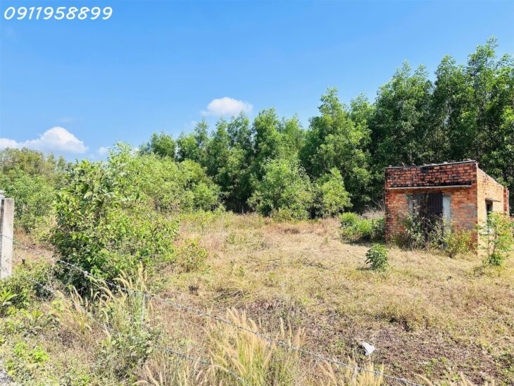 Đất Tân Phước, Lagi: 171m² Thổ Cư, Ô Tô Tận Nơi, Giá 890 Triệu