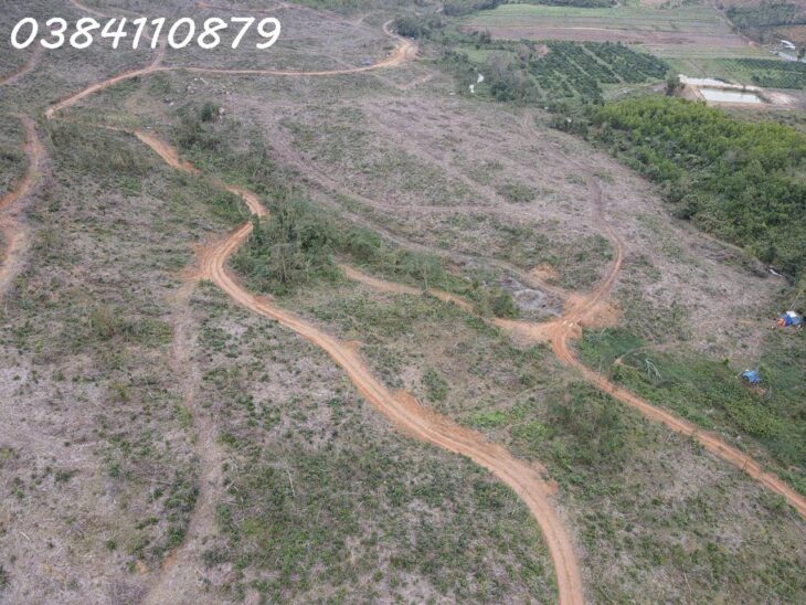 290HA ĐẤT NÔNG LÂM, ĐĂK LĂK, 32 TỶ