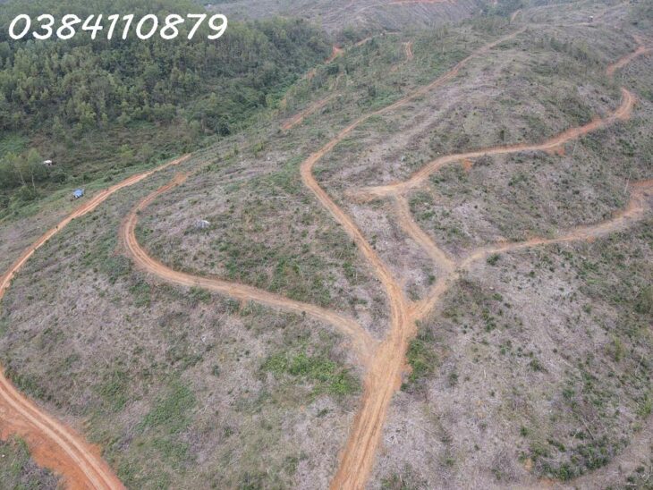 290HA ĐẤT NÔNG LÂM, ĐĂK LĂK, 32 TỶ