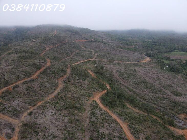 290HA ĐẤT NÔNG LÂM, ĐĂK LĂK, 32 TỶ