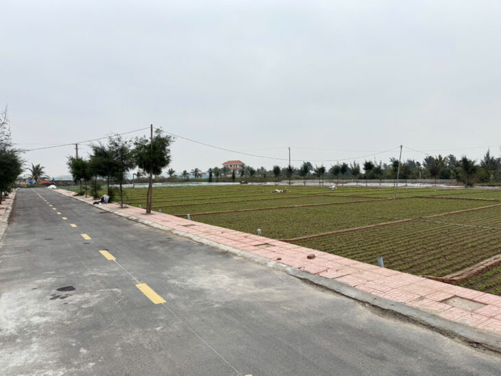 Chỉ từ 8 triệu/m2 bán đất trung tâm thị trấn Quất lâm giao thủy gần quảng trường biển