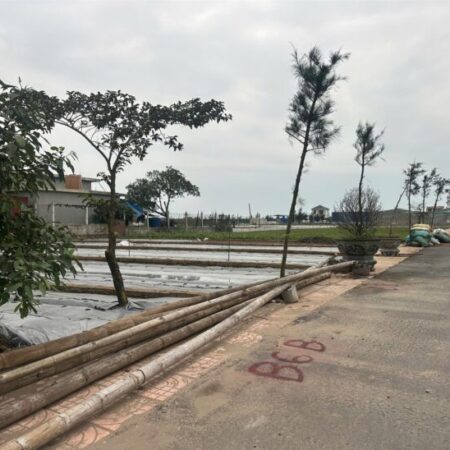 Đất nền Quất Lâm Nam Định