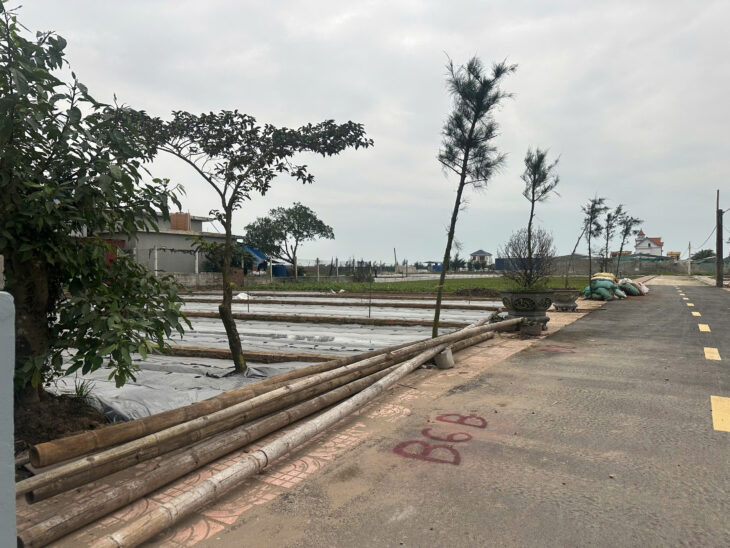 ĐẤT NỀN VEN BIỂN QUẤT LÂM