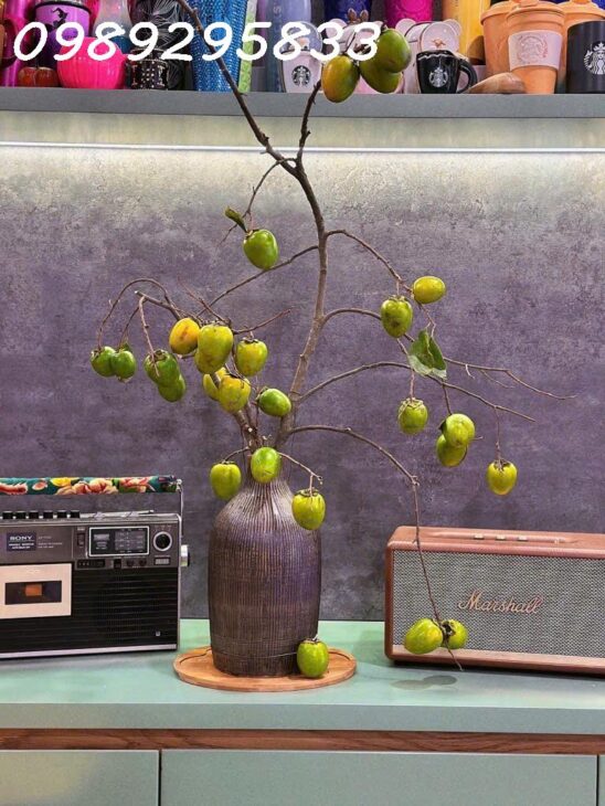 BÁN NHÀ LONG BIÊN – GIÁ DƯỚI 5 TỶ KHÔNG MUA LÀ LỠ Chỉ 4.95 TỶ – NHÀ Ô TÔ ĐỖ CỬA, SÂN RỘNG – VIEW