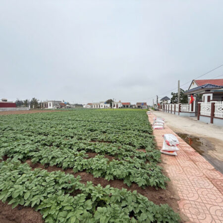 Bán đất nền ven biển Quất Lâm sẵn sổ full cư