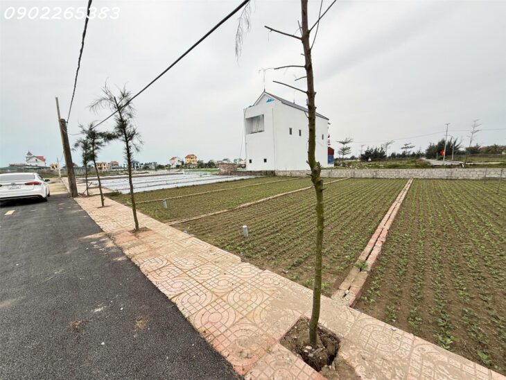 Chủ cần tiền bán nhanh lô đất có tiềm năng sinh lời cực cao đối diện bãi tắm thị trấn Quất Lâm