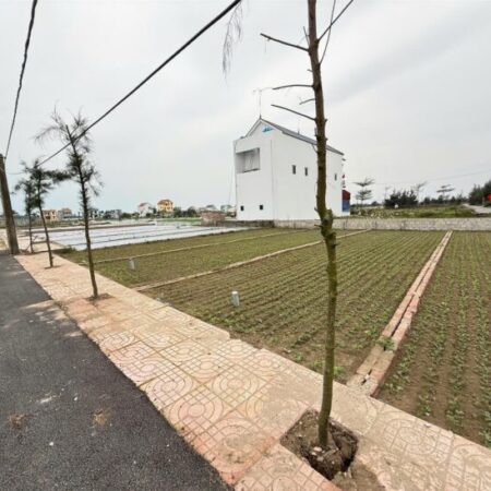 BÁN ĐẤT MẶT BIỂN Xã GIAO PHONG – CƠ HỘI ĐẦU TƯ SIÊU HẤP DẪN!