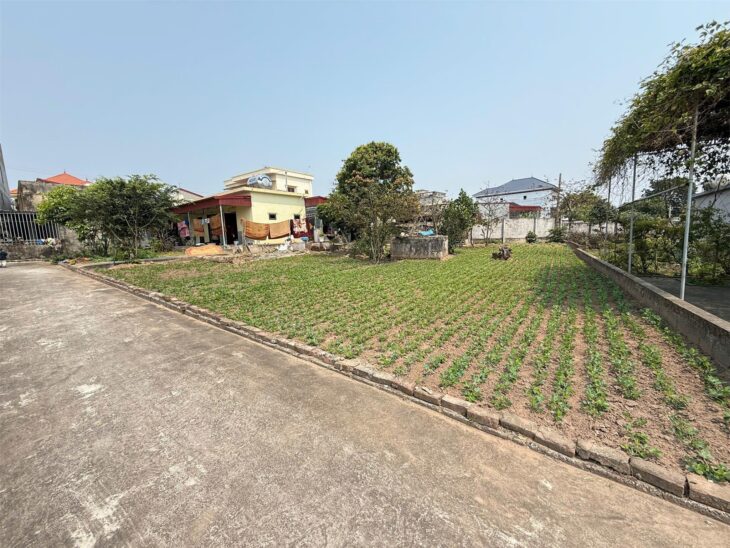 Bán gấp 250m2 đất mặt tiền 10m2 biển Quất Lâm, đứng tại lô đất nhìn thấyQuảng Trường biển, Giá