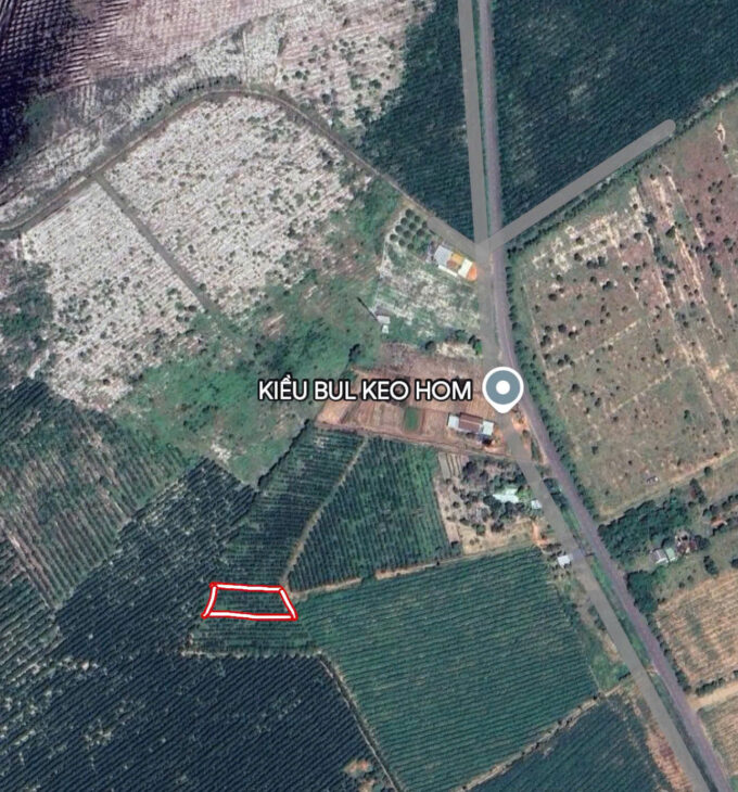Cơ Hội Đầu Tư Vàng: 1033m2 Đất Thổ Cư Quốc Lộ 55, Hàm Tân – Bình Thuận, Chỉ 1 Tỷ!