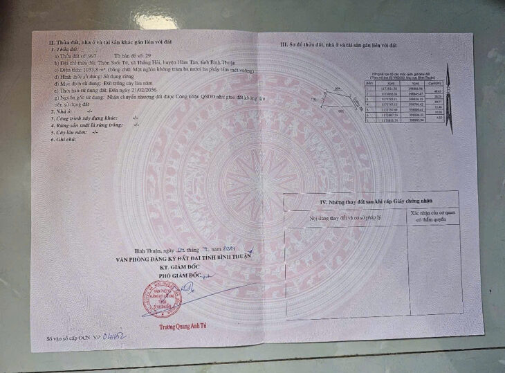 Cơ Hội Đầu Tư Vàng: 1033m2 Đất Thổ Cư Quốc Lộ 55, Hàm Tân – Bình Thuận, Chỉ 1 Tỷ!