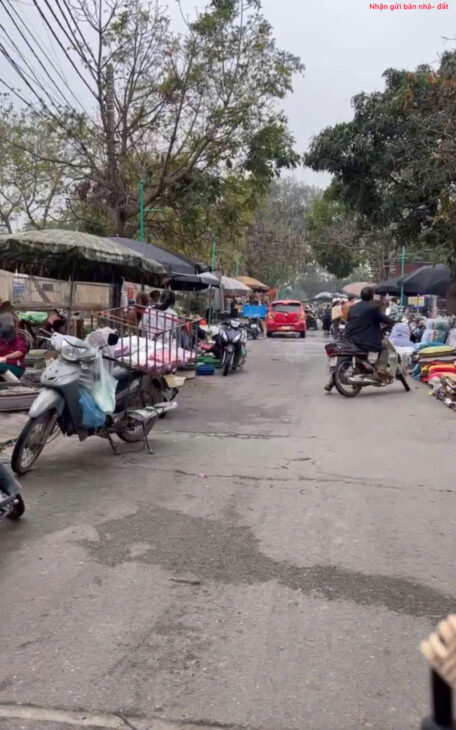 Đất đẹp Chi Đông, Mê Linh, HN. Đường thông, oto đỗ cửa. Vị trí đẹp, ngay trung tâm thị trấn.