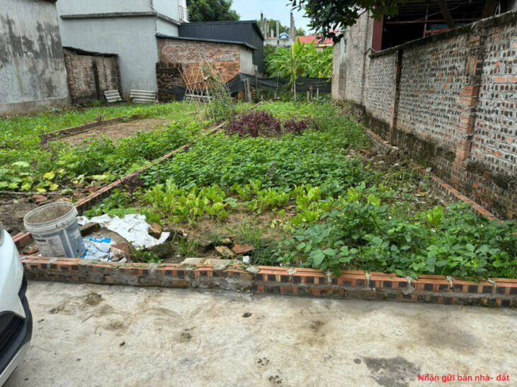 Bán 41m đất Mai Đình, Sóc Sơn. Siêu nhỏ, siêu tí hon. Gần sân bay và khu công nghiệp Nội Bài.