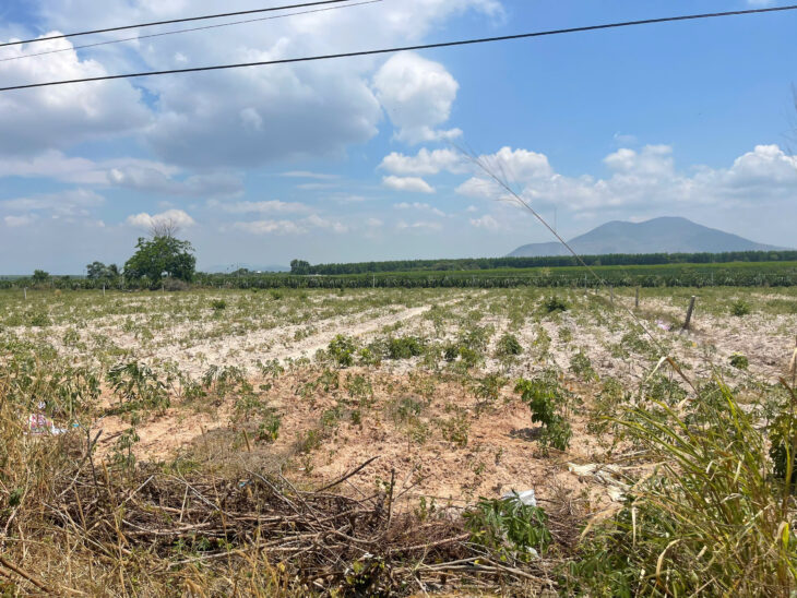 Đất giảm 50% 50m mặt tiền Mai Thúc Loan – Tân Hải – TX LaGi 150tr/m ngang sổ riêng