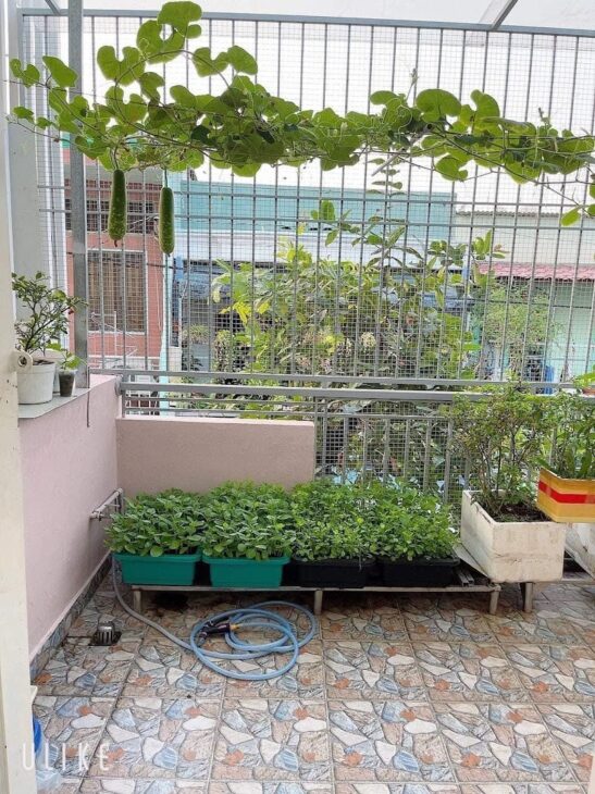 Bán nhà 41m2, Hẻm xe hơi thông 5m, Đường Vườn Lài, Q. Tân Phú