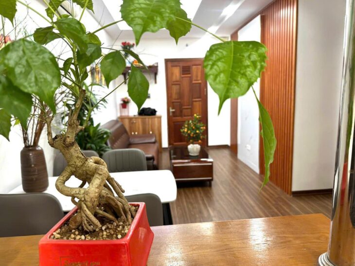 Cần bán căn hộ chung cư tại phường Đại Kim – 65m² – 2PN, 2WC – Giá 3,1 tỷ