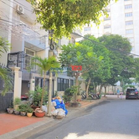 Bán gấp trong tháng 4, nhà đẹp HXH Bạch Đằng 91m2 chỉ 16.8 tỷ TL