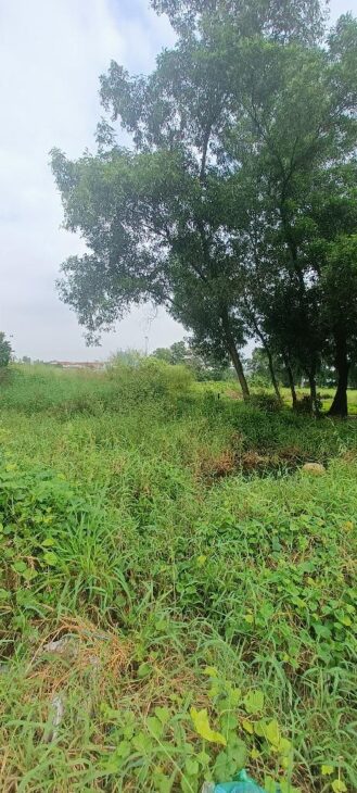 Bán nhà mặt phố Phan Bội Châu, Dĩ An, Bình Dương – 3.5 tỷ, 86m²