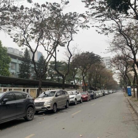 CƠ HỘI VÀNG–TÒA NHÀ 9 TẦNG THANG MÁY MẶT PHỐ HỒ TÙNG MẬU–65M2-VỈA HÈ RỘNG–DÒNG SẢN PHẨM CỰC HIẾM – CƠ HỘI VÀNG–TÒA NHÀ 9 TẦNG THANG MÁY MẶT PHỐ HỒ TÙNG MẬU–65M2-VỈA HÈ RỘNG–DÒNG SẢN PHẨM CỰC HIẾM –