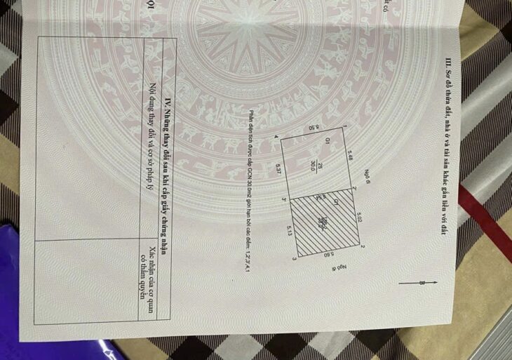 CẢNH BÁO 460 KHƯƠNG ĐÌNH: CƠ HỘI DUY NHẤT – MỘT BƯỚC SÁNG SUỐT HOẶC MỌI THỨ SẼ KẾT THÚC