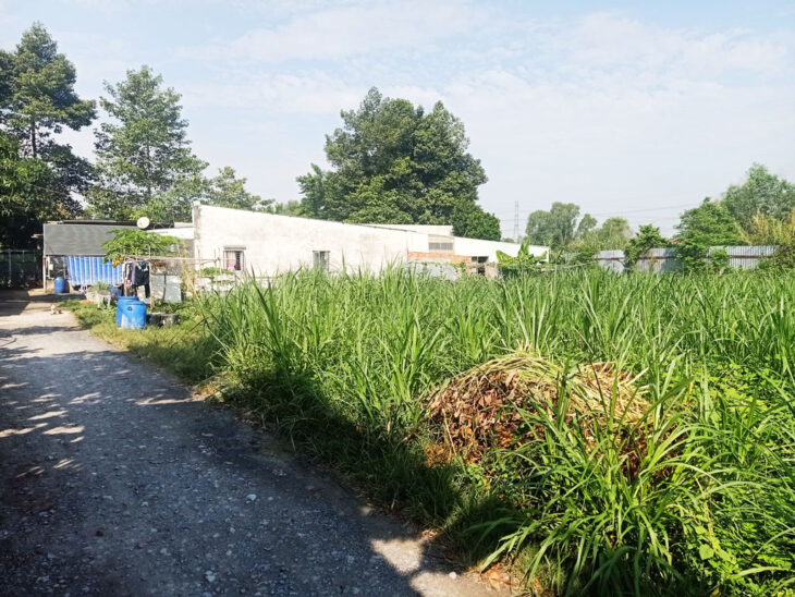 Bán đất 1/ đường Võ Thị Hết – 1000m2 – 35×26 – 137m2 thổ cư – xã Hòa Phú – Củ Chi