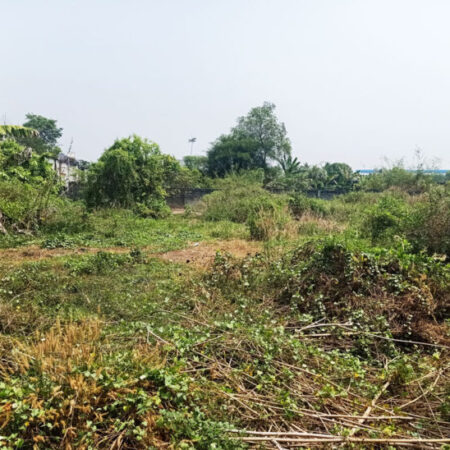 Bán đất 1/ Nguyễn Văn Khạ – 188m2 – 5.5×35 – 169m2 thổ cư – xã Phú Hòa Đông – Củ Chi Bán đất 1/ Nguyễn Văn Khạ – 188m2 – 5.5×35 – 169m2 thổ cư – xã Phú Hòa Đông – Củ Chi