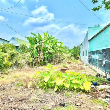 Bán đất đường Trung Lập – 406m2 – 7×58 – 150m2 thổ cư – xã Phú Mỹ Hưng – Củ Chi Bán đất đường Trung Lập – 406m2 – 7×58 – 150m2 thổ cư – xã Phú Mỹ Hưng – Củ Chi
