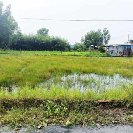 Bán đất 1/ đường An Nhơn Tây – 229m2 – 8×29 – 214m2 thổ cư – xã An Nhơn Tây – Củ Chi