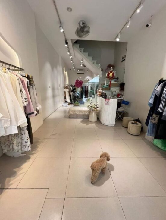 Bán nhà mặt phố Mễ Trì, Nam Từ Liêm, 60m2, 5 tầng vị trí kinh doanh