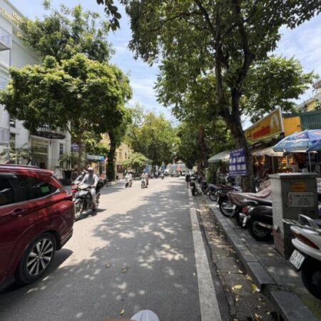 Cho thuê nhà phân lô phố Trần Điền, Hoàng Mai, 75m2,4T,ôtô tránh,KD-VP
