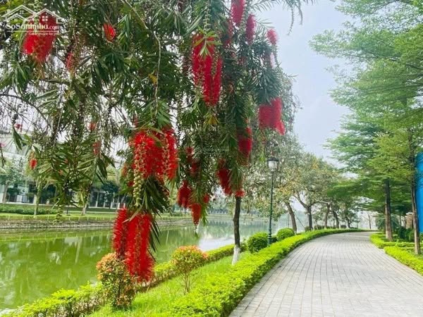 BÁN BIỆT THỰ- NHÀ VƯỜN VISTALAGO – SỐNG THƯỢNG LƯU ĐỘC QUYỀN GIỮA “TRÁI TIM” TÂY HÀ NỘI GIÁ 3X TỶ