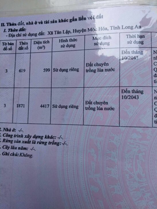 CẦN BÁN LÔ ĐẤT CỰC ĐẸP MẶT TIỀN LỘ LỚN- WIEW SÔNG TẠI TÂN LẬP, MỘC HÓA, LONG AN – CHÍNH CHỦ: 0984