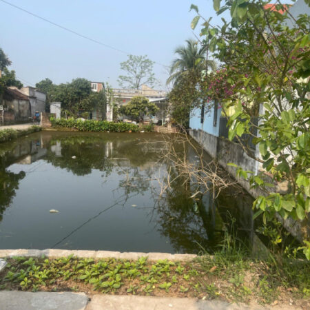 CHÍNH CHỦ GỬI BÁN ĐẤT TẠI THÔN NAM ĐẠI – XÃ QUỲNH BẢO – QUỲNH PHỤ – THÁI BÌNH