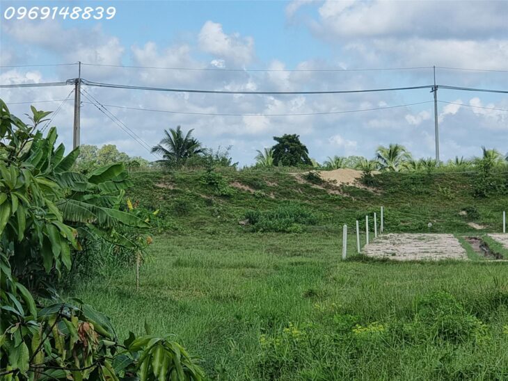 Bán đất thổ cư tại Củ Chi – Lý tưởng để đầu tư & phát triển