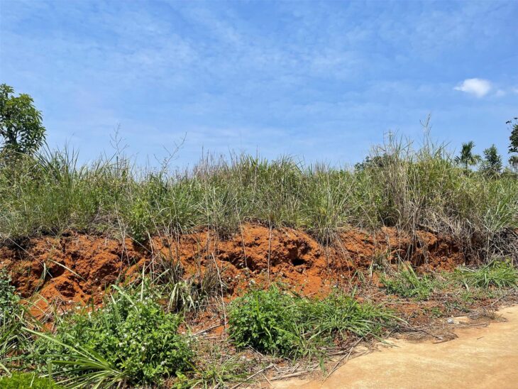 BÁN ĐẤT GIÁ RẺ CÁCH ĐÀ LẠT 58KM
