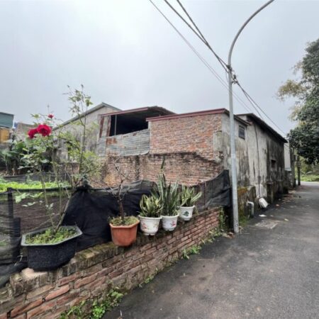 SIÊU PHẨM ĐẤT NỀN HIẾM CÓ CÁT THUẾ, HOÀI ĐỨC