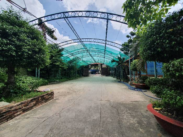 Bán đất Bình Phú, Tam phú, Thủ Đức, 1821m2, Mặt tiền kinh doanh, Gía chỉ 50.6 Tỷ TL