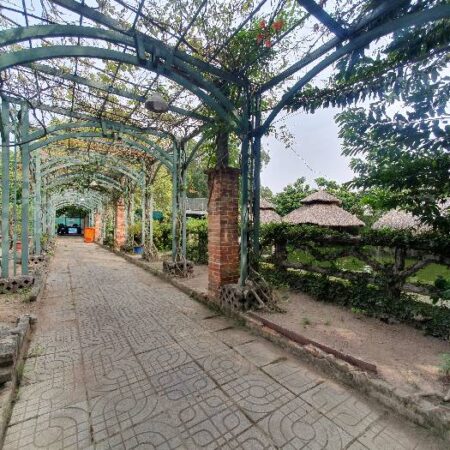 Bán đất Bình Phú, Tam phú, Thủ Đức, 1821m2, Mặt tiền kinh doanh, Gía chỉ 50.6 Tỷ TL Bán đất Bình Phú, Tam phú, Thủ Đức, 1821m2, Mặt tiền kinh doanh, Gía chỉ 50.6 Tỷ TL