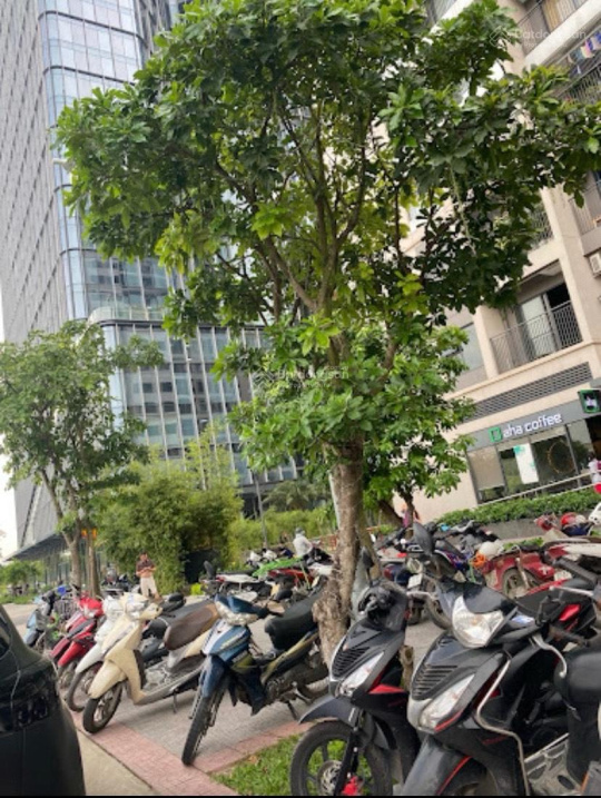 BÁN SHOP CHÂN ĐẾ CHUNG CƯ VINHOMES OCEAN PARK – GIA LÂM, HÀ NỘI – 80M² VỊ TRÍ ĐẸP