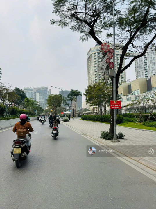 Bán biệt thự Vườn Đào 230m – View Vườn Hoa Nội Thất Sang Trọng Tích Sản Nơi Ở Giới Tinh Hoa