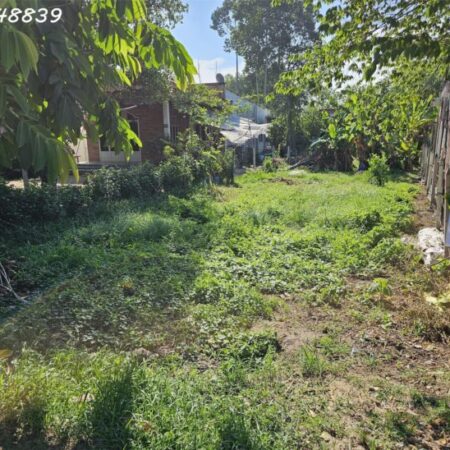 CHÍNH CHỦ BÁN ĐẤT THỔ CƯ MẶT TIỀN ĐƯỜNG NHỰA – ĐÃ CÓ SỔ HỒNG & GPXD CHÍNH CHỦ BÁN ĐẤT THỔ CƯ MẶT TIỀN ĐƯỜNG NHỰA – ĐÃ CÓ SỔ HỒNG & GPXD