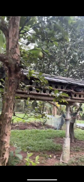BÁN NHÀ VƯỜN 10.000M² TẠI SƠN TIẾN – HƯƠNG SƠN – HÀ TĨNH -LH: 0988368377