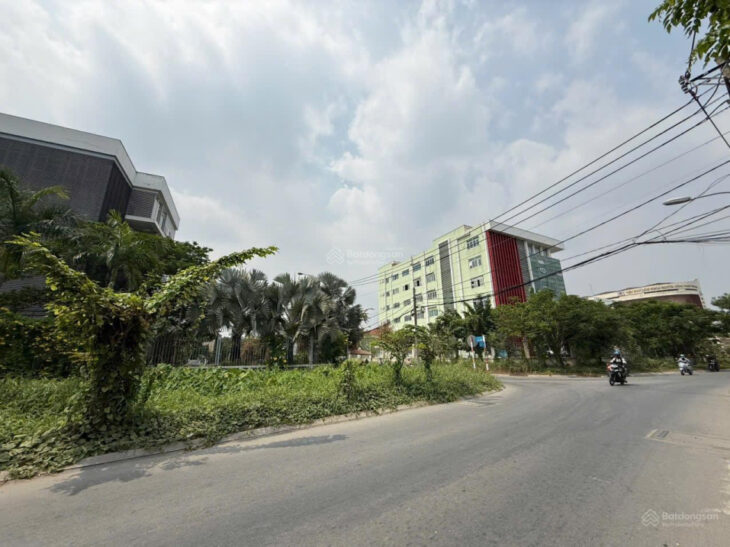 Bán đất cực đẹp 4×20 CTXD 6 Tầng – cạnh trường cấp 1,2,3,mầm non chỉ 3.86 Tỷ