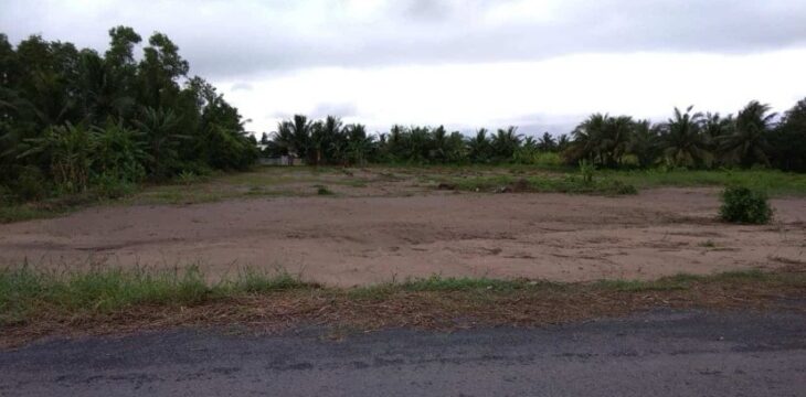 Cần Bán 5240m2 Đất Thổ Cư – Đường Trương Văn Đa, Bình Lợi – Bình Chánh Chỉ 60 Tỷ