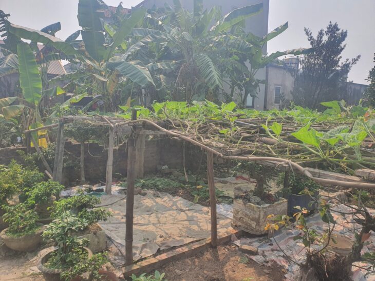 BÁN ĐẤT Ở THỔ CƯ 33M2 – VỊ TRÍ VÀNG HÀ ĐÔNG – GIÁ CHỈ 3.3 TỶ – SỔ ĐỎ CHÍNH CHỦ