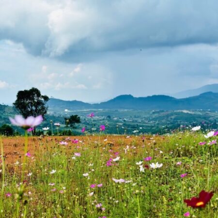 600 TRIỆU / LÔ ĐẤT VIEW SIÊU ĐẸP TẠI LỘC BẮC