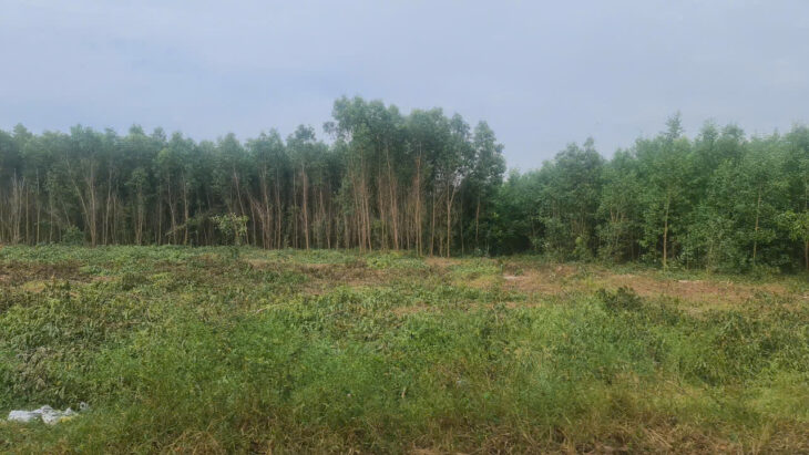 Bán 200m x 190m (3.8 ha) Đường Cù Chính Lan- Tân Bình – TX LaGi giá ngộp 100tr/ m ngang